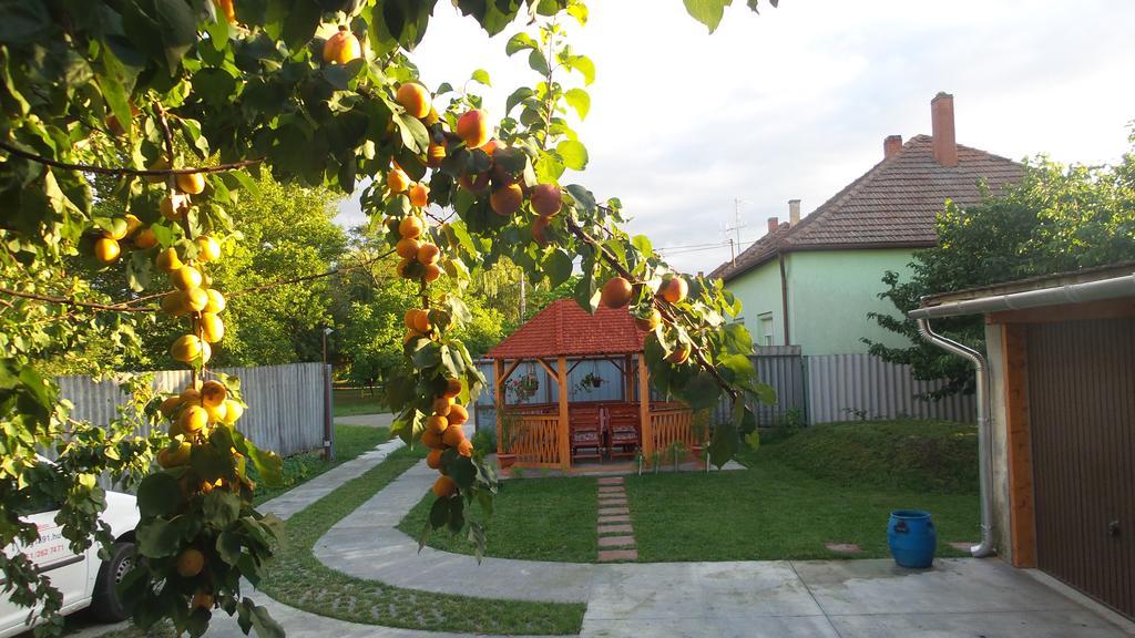 Tiszavirag Apartmanhaz Apartment Szeged Exterior photo